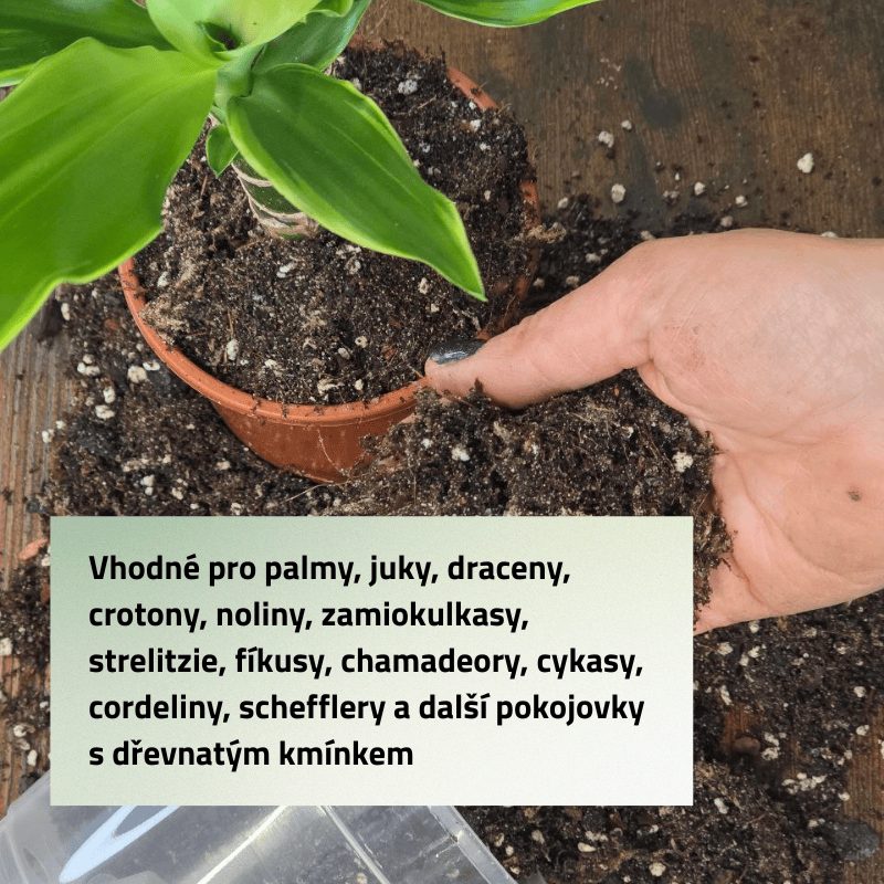 Mix č. 4 Pro palmy a dřevnaté rostliny 